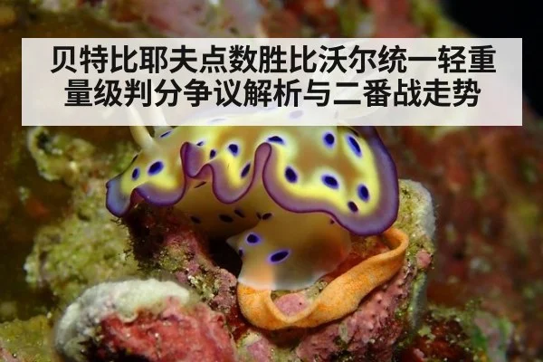 贝特比耶夫点数胜比沃尔统一轻重量级判分争议解析与二番战走势